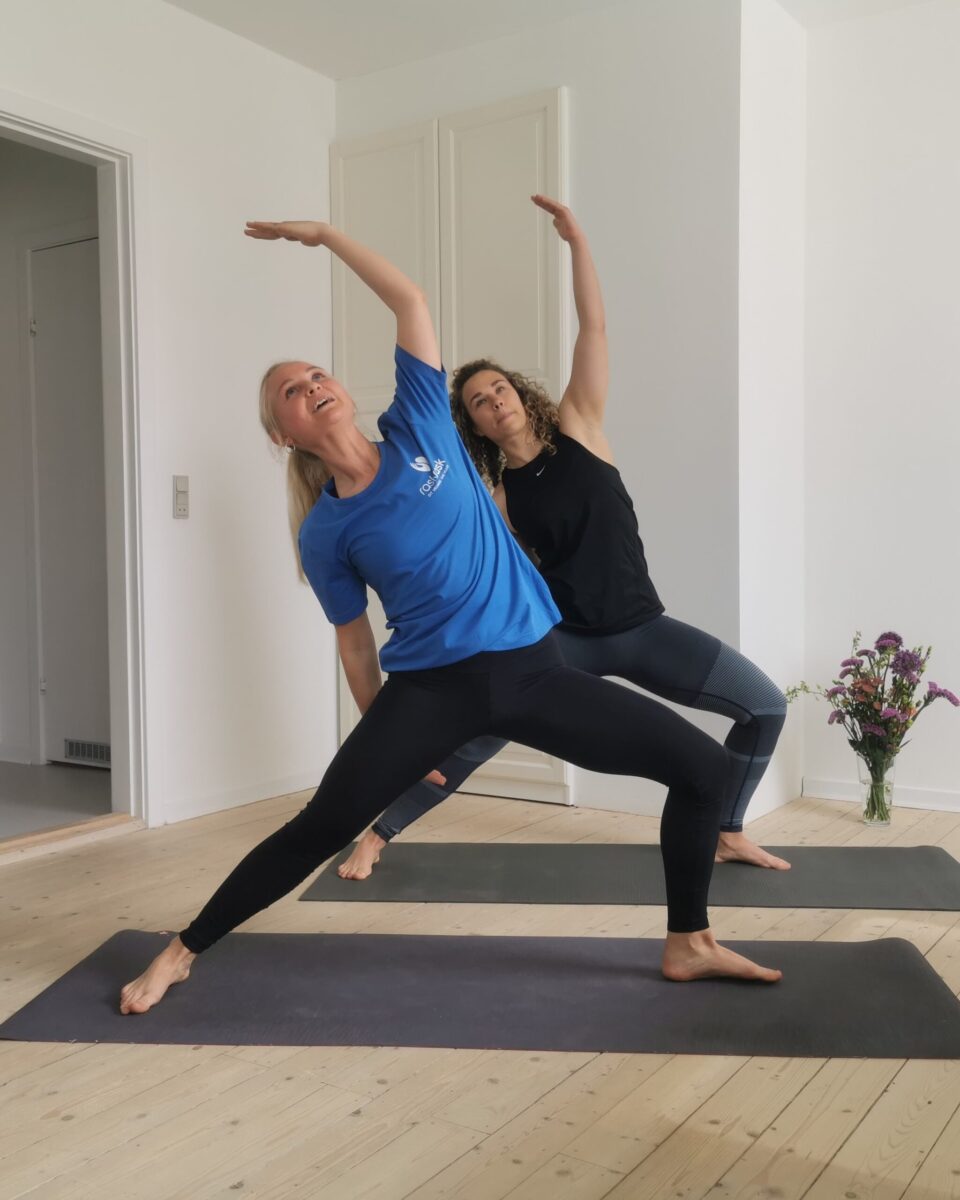 Book Hatha yoga