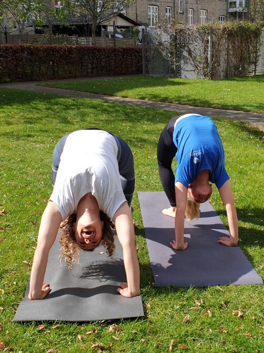 Book Outdoor yoga