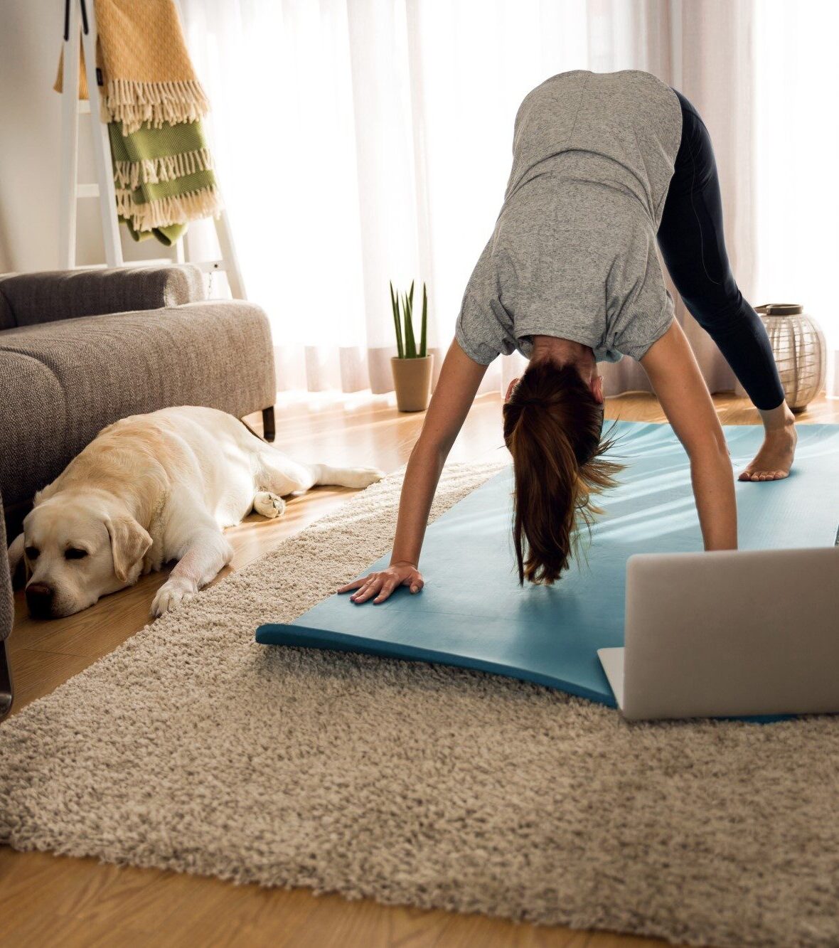 yoga stilling